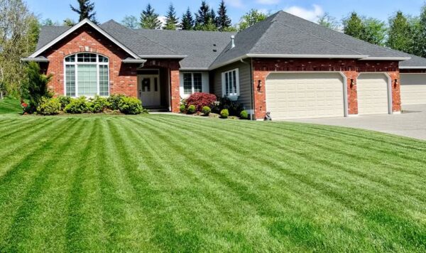 Lawn aeration