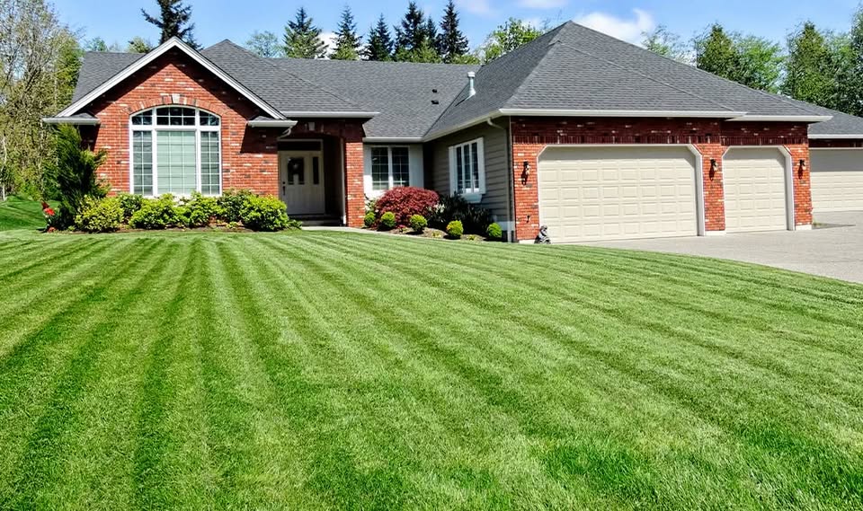 Lawn aeration